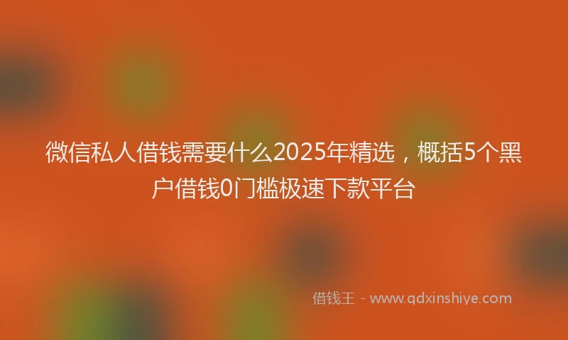 微信私人借钱需要什么2025年精选，概括5个黑户借钱0门槛极速下款平台