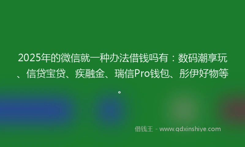 2025年的微信就一种办法借钱吗有：数码潮享玩、信贷宝贷、疾融金、瑞信Pro钱包、彤伊好物等。