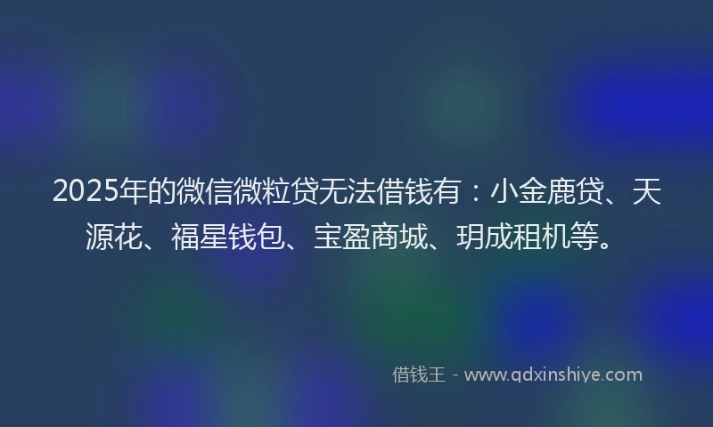 2025年的微信微粒贷无法借钱有：小金鹿贷、天源花、福星钱包、宝盈商城、玥成租机等。