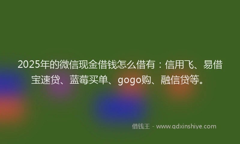 2025年的微信现金借钱怎么借有：信用飞、易借宝速贷、蓝莓买单、gogo购、融信贷等。