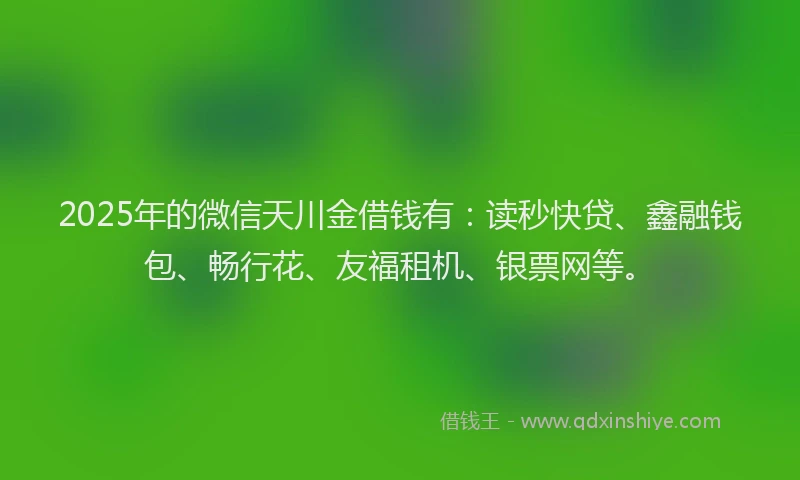 2025年的微信天川金借钱有:读秒快贷、鑫融钱包、畅行花、友福租机、银票网等。
