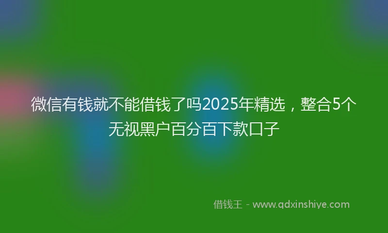 微信有钱就不能借钱了吗2025年精选，整合5个无视黑户百分百下款口子