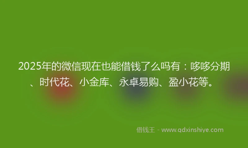 2025年的微信现在也能借钱了么吗有：哆哆分期、时代花、小金库、永卓易购、盈小花等。