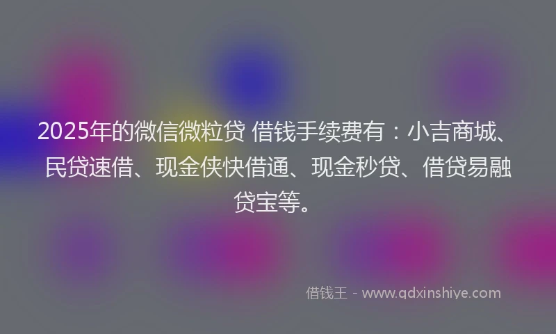 2025年的微信微粒贷 借钱手续费有：小吉商城、民贷速借、现金侠快借通、现金秒贷、借贷易融贷宝等。