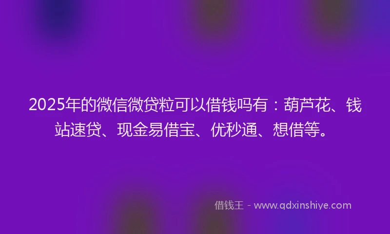 2025年的微信微贷粒可以借钱吗有：葫芦花、钱站速贷、现金易借宝、优秒通、想借等。