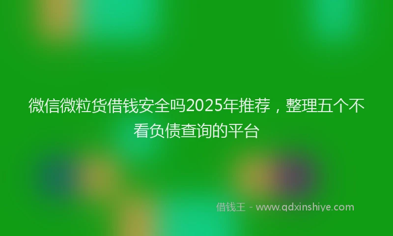 微信微粒货借钱安全吗2025年推荐，整理五个不看负债查询的平台