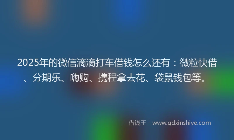 2025年的微信滴滴打车借钱怎么还有：微粒快借、分期乐、嗨购、携程拿去花、袋鼠钱包等。