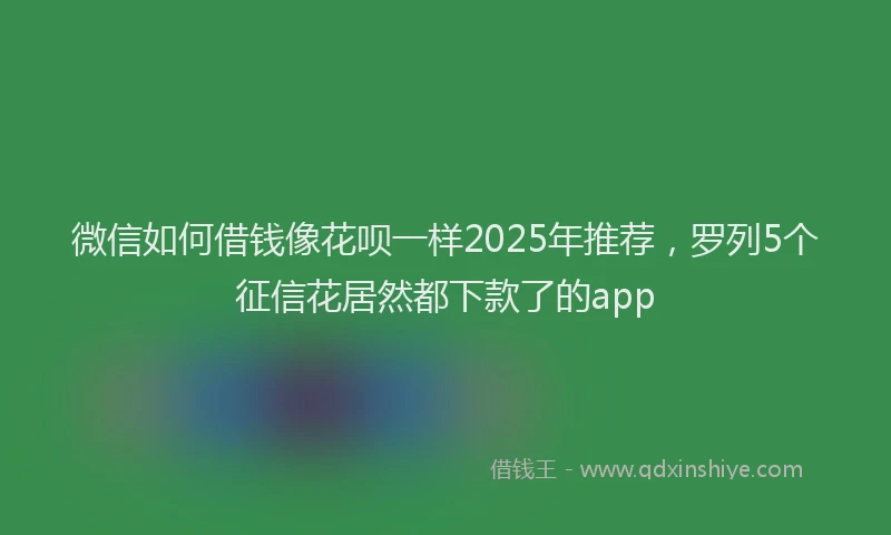 微信如何借钱像花呗一样2025年推荐，罗列5个征信花居然都下款了的app