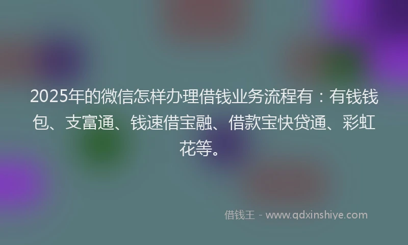 2025年的微信怎样办理借钱业务流程有：有钱钱包、支富通、钱速借宝融、借款宝快贷通、彩虹花等。