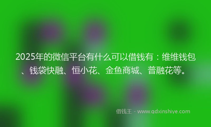 2025年的微信平台有什么可以借钱有：维维钱包、钱袋快融、恒小花、金鱼商城、普融花等。