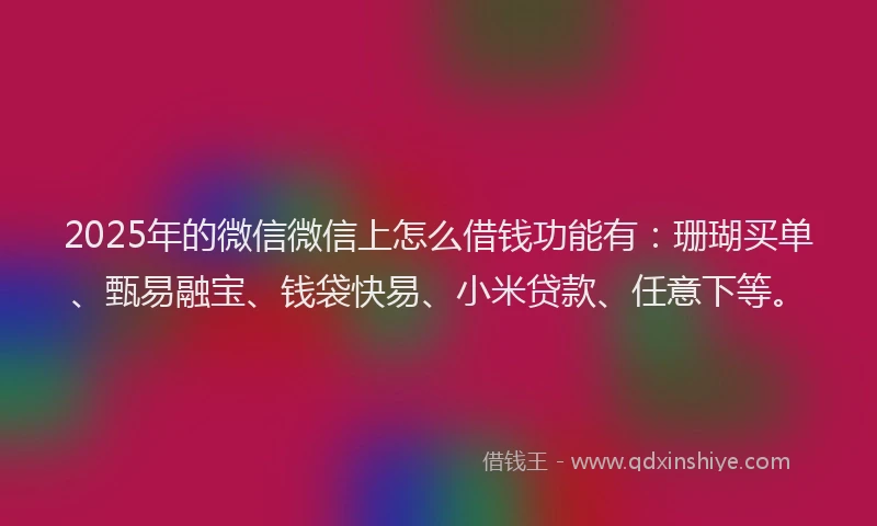 2025年的微信微信上怎么借钱功能有：珊瑚买单、甄易融宝、钱袋快易、小米贷款、任意下等。