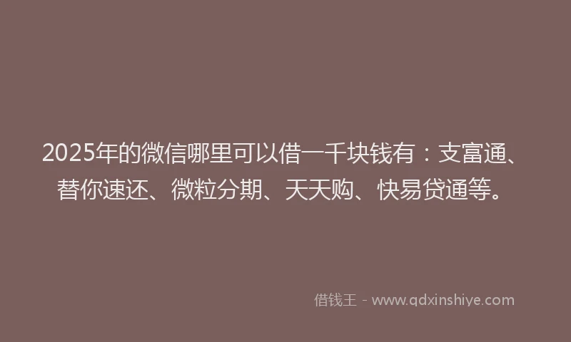 2025年的微信哪里可以借一千块钱有：支富通、替你速还、微粒分期、天天购、快易贷通等。