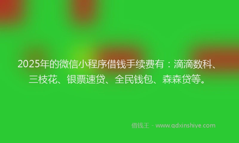 2025年的微信小程序借钱手续费有：滴滴数科、三枝花、银票速贷、全民钱包、森森贷等。