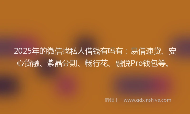 2025年的微信找私人借钱有吗有：易借速贷、安心贷融、紫晶分期、畅行花、融悦Pro钱包等。