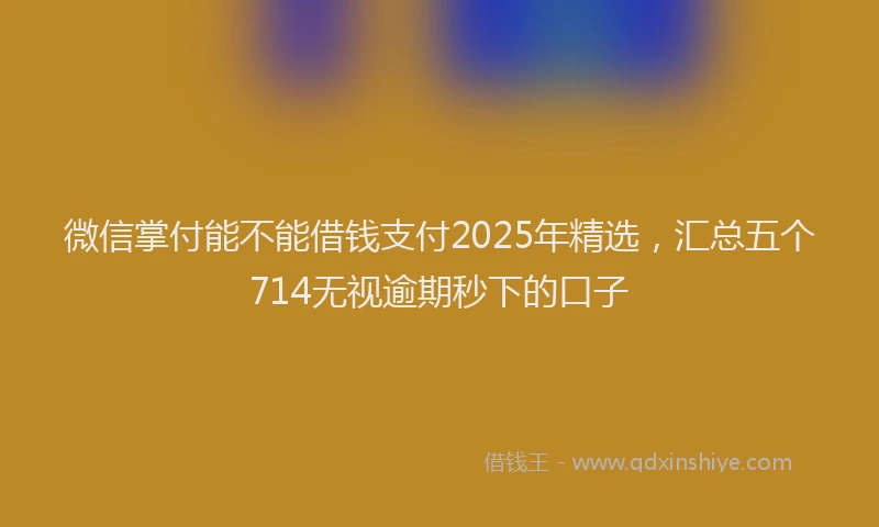 微信掌付能不能借钱支付2025年精选，汇总五个714无视逾期秒下的口子