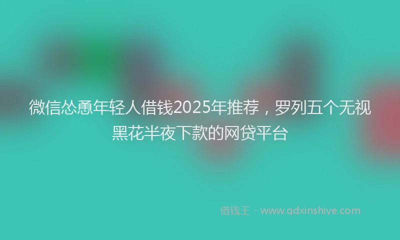 微信怂恿年轻人借钱2025年推荐，罗列五个无视黑花半夜下款的网贷平台