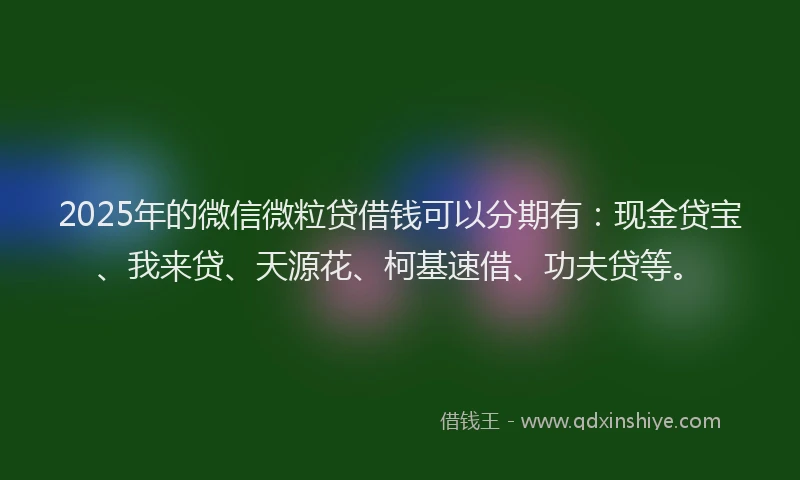 2025年的微信微粒贷借钱可以分期有：现金贷宝、我来贷、天源花、柯基速借、功夫贷等。