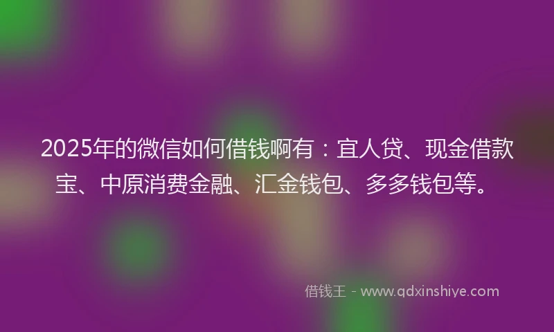 2025年的微信如何借钱啊有：宜人贷、现金借款宝、中原消费金融、汇金钱包、多多钱包等。