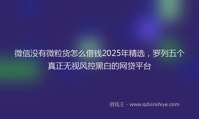 微信没有微粒货怎么借钱2025年精选，罗列五个真正无视风控黑白的网贷平台