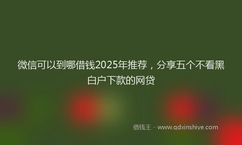 微信可以到哪借钱2025年推荐，分享五个不看黑白户下款的网贷