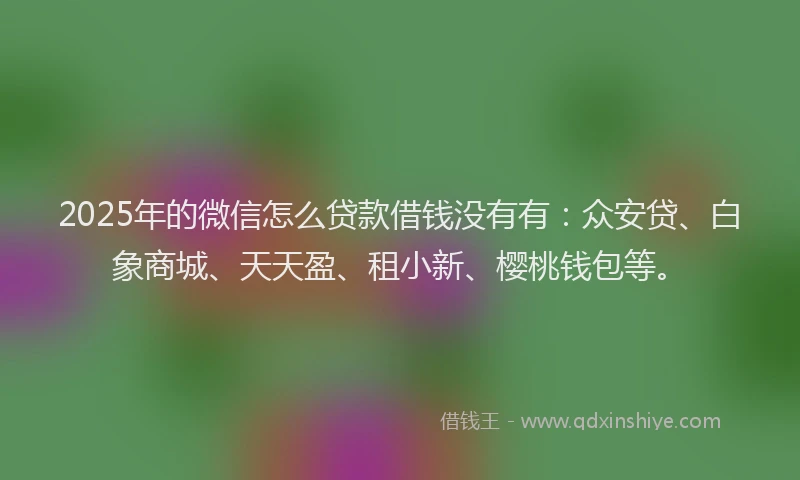 2025年的微信怎么贷款借钱没有有：众安贷、白象商城、天天盈、租小新、樱桃钱包等。