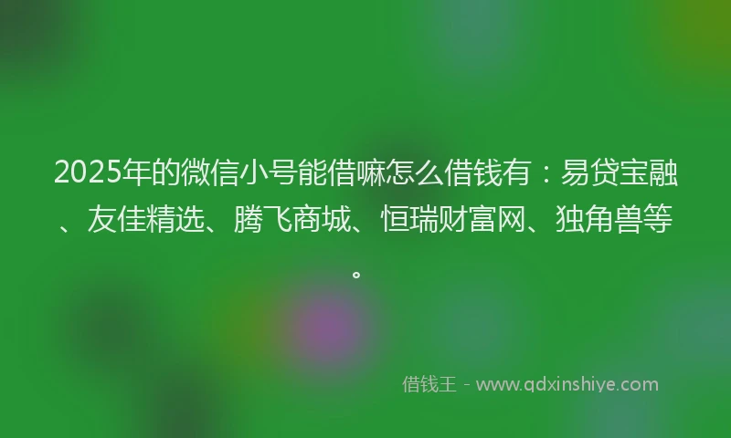 2025年的微信小号能借嘛怎么借钱有：易贷宝融、友佳精选、腾飞商城、恒瑞财富网、独角兽等。