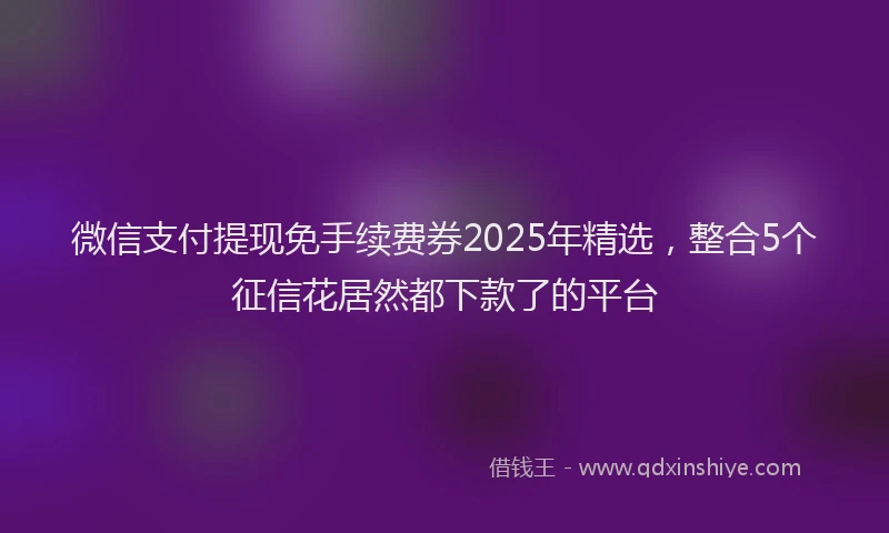 微信支付提现免手续费券2025年精选，整合5个征信花居然都下款了的平台