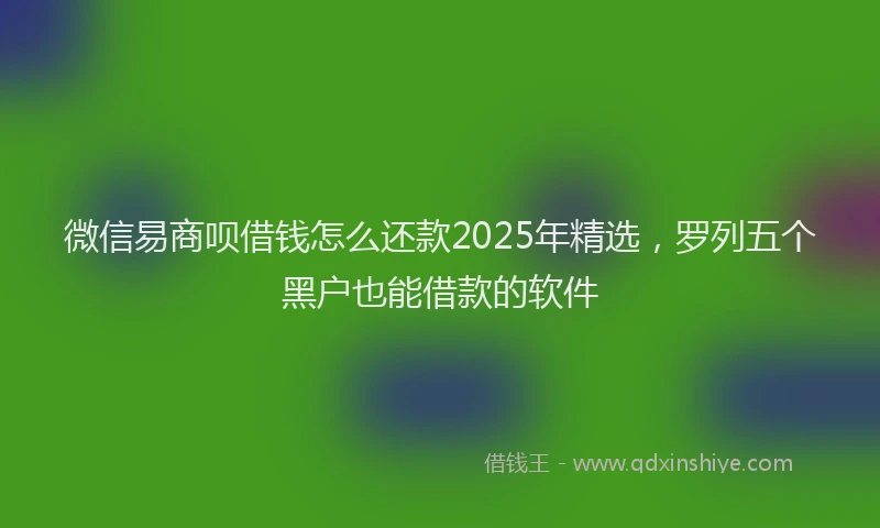 微信易商呗借钱怎么还款2025年精选，罗列五个黑户也能借款的软件