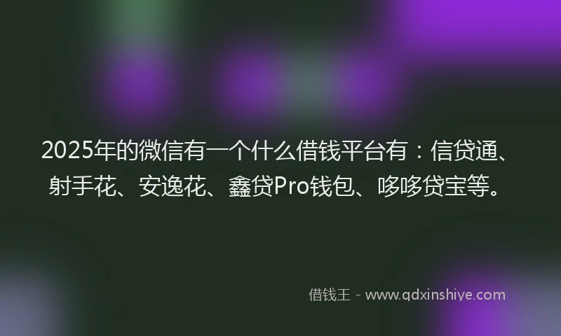 2025年的微信有一个什么借钱平台有：信贷通、射手花、安逸花、鑫贷Pro钱包、哆哆贷宝等。