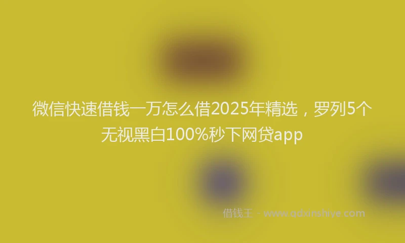 微信快速借钱一万怎么借2025年精选，罗列5个无视黑白100%秒下网贷app