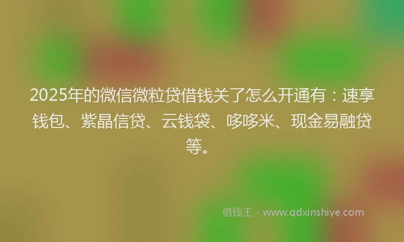 2025年的微信微粒贷借钱关了怎么开通有：速享钱包、紫晶信贷、云钱袋、哆哆米、现金易融贷等。