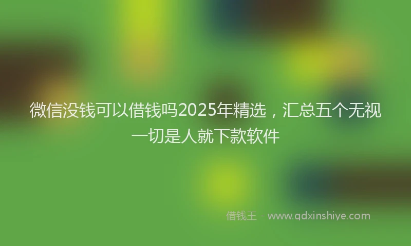 微信没钱可以借钱吗2025年精选，汇总五个无视一切是人就下款软件