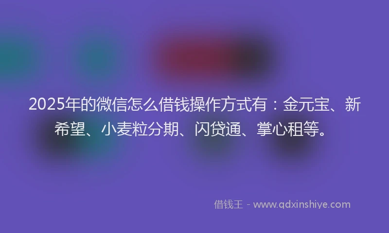 2025年的微信怎么借钱操作方式有：金元宝、新希望、小麦粒分期、闪贷通、掌心租等。