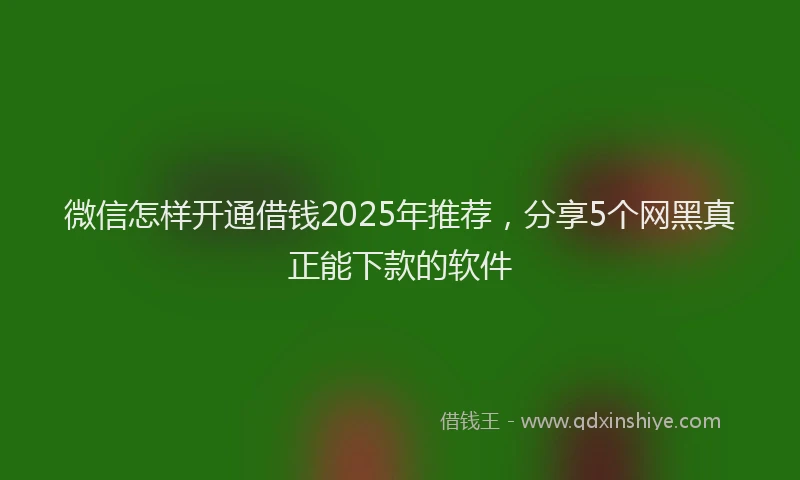 微信怎样开通借钱2025年推荐，分享5个网黑真正能下款的软件