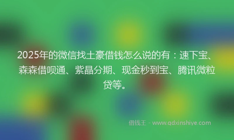 2025年的微信找土豪借钱怎么说的有：速下宝、森森借呗通、紫晶分期、现金秒到宝、腾讯微粒贷等。