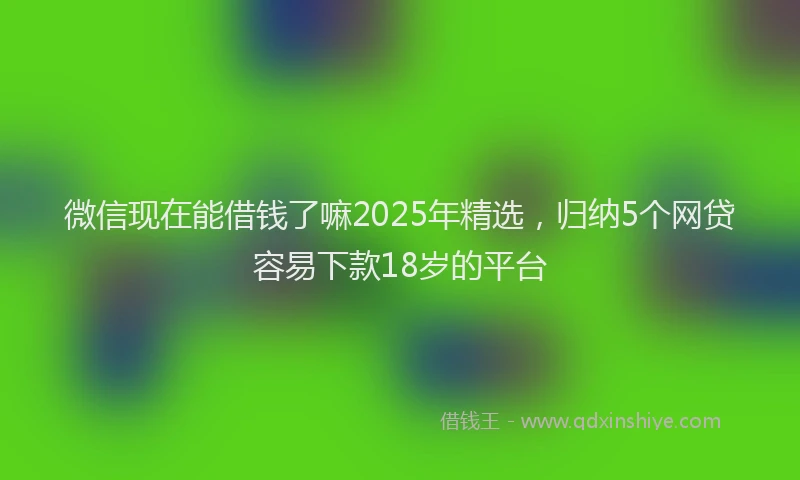 微信现在能借钱了嘛2025年精选，归纳5个网贷容易下款18岁的平台