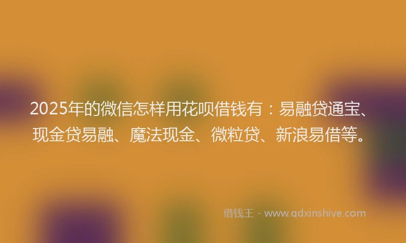 2025年的微信怎样用花呗借钱有：易融贷通宝、现金贷易融、魔法现金、微粒贷、新浪易借等。