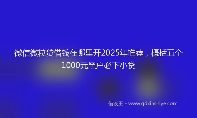 微信微粒贷借钱在哪里开2025年推荐，概括五个1000元黑户必下小贷