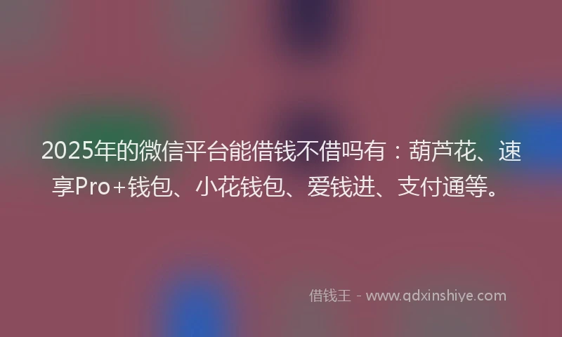 2025年的微信平台能借钱不借吗有：葫芦花、速享Pro+钱包、小花钱包、爱钱进、支付通等。