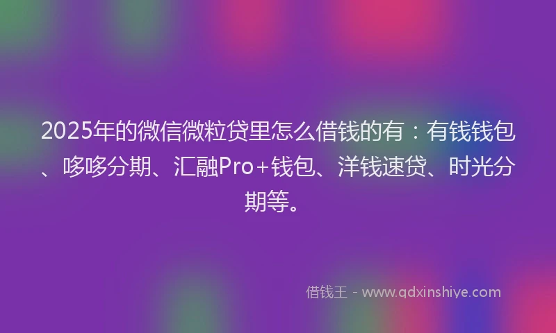 2025年的微信微粒贷里怎么借钱的有：有钱钱包、哆哆分期、汇融Pro+钱包、洋钱速贷、时光分期等。