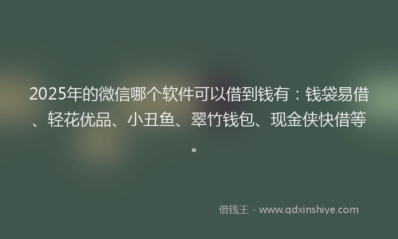 2025年的微信哪个软件可以借到钱有：钱袋易借、轻花优品、小丑鱼、翠竹钱包、现金侠快借等。