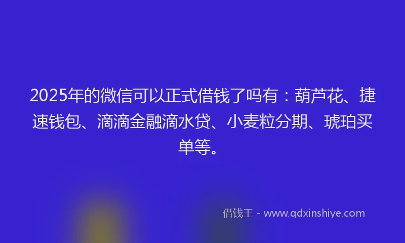 2025年的微信可以正式借钱了吗有：葫芦花、捷速钱包、滴滴金融滴水贷、小麦粒分期、琥珀买单等。