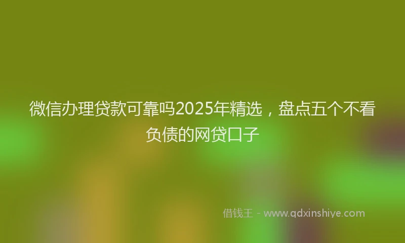 微信办理贷款可靠吗2025年精选，盘点五个不看负债的网贷口子