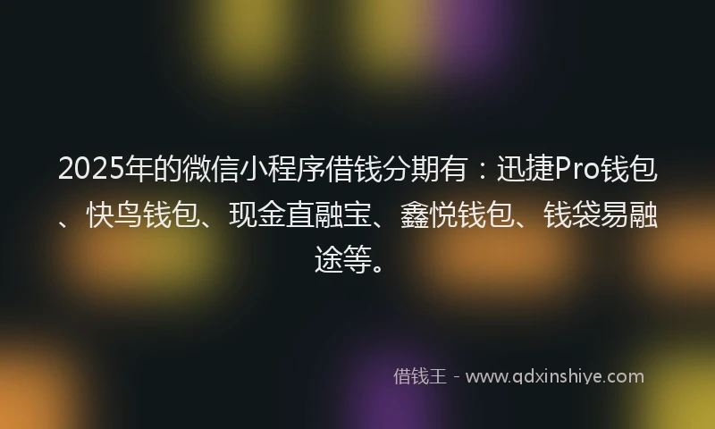 2025年的微信小程序借钱分期有：迅捷Pro钱包、快鸟钱包、现金直融宝、鑫悦钱包、钱袋易融途等。