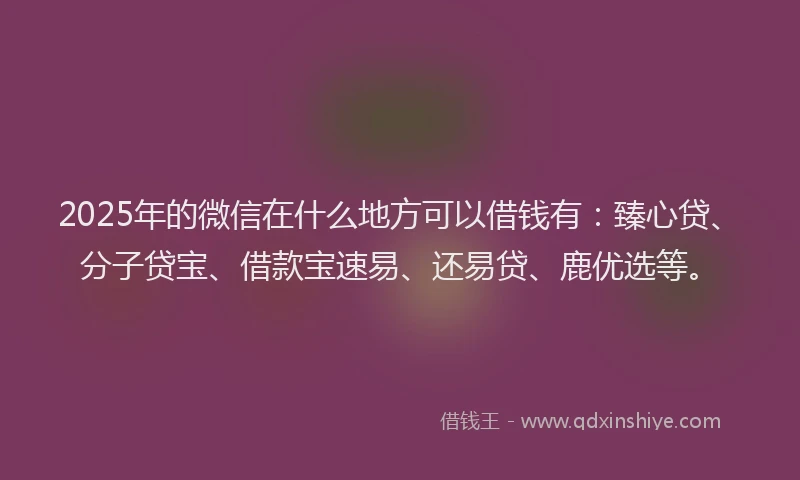 2025年的微信在什么地方可以借钱有：臻心贷、分子贷宝、借款宝速易、还易贷、鹿优选等。