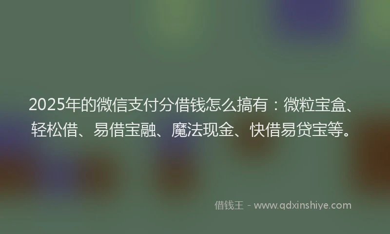 2025年的微信支付分借钱怎么搞有：微粒宝盒、轻松借、易借宝融、魔法现金、快借易贷宝等。