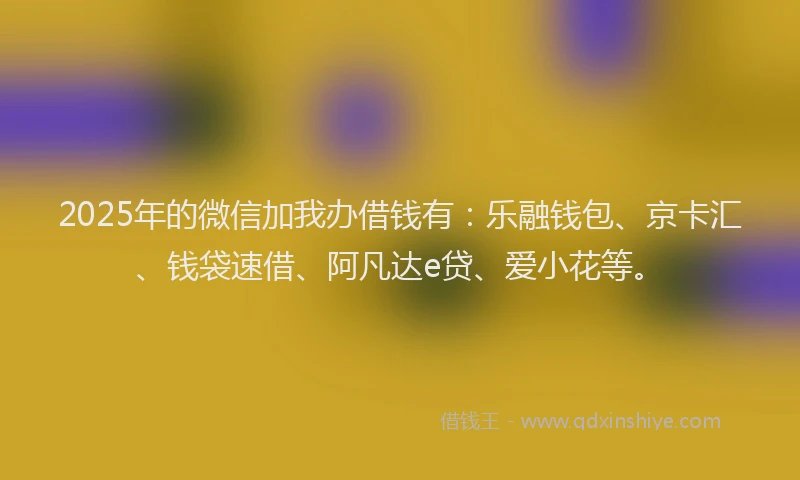 2025年的微信加我办借钱有：乐融钱包、京卡汇、钱袋速借、阿凡达e贷、爱小花等。