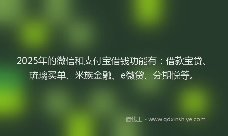 2025年的微信和支付宝借钱功能有：借款宝贷、琉璃买单、米族金融、e微贷、分期悦等。