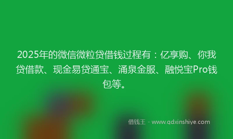 2025年的微信微粒贷借钱过程有：亿享购、你我贷借款、现金易贷通宝、涌泉金服、融悦宝Pro钱包等。
