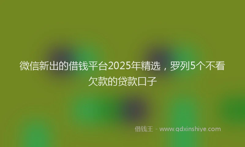 微信新出的借钱平台2025年精选，罗列5个不看欠款的贷款口子